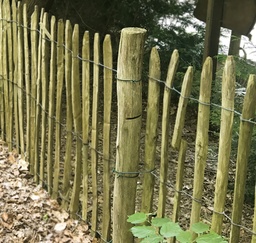 [P021381-8.81025] Kastanjepaal geschild Ø7-9x250cm gepunt, niet gekruind gem. 8cm   